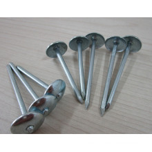 umbrella roofing nails